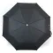 Зонт Автомат Женский понж Susino 16301AC-5