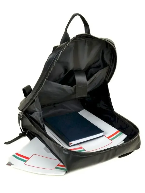 Рюкзак Городской кожаный BRETTON BE 2004-5 black