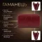 Жіночий гаманець Tony Perotti Italico 1192 rosso (90685) Червоний
