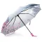 Парасоля Автомат Жіночий поліестер 745-1