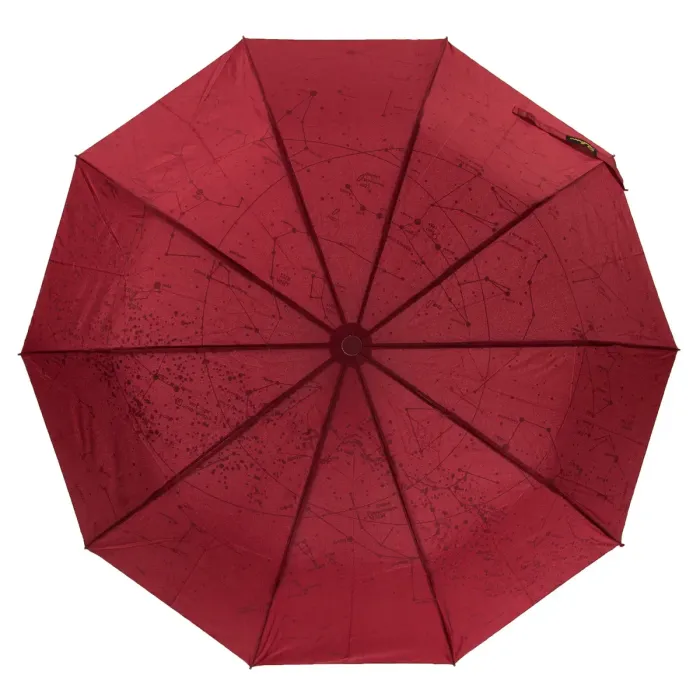 Зонт Напівавтомат Жіночий поліестер 19303-4