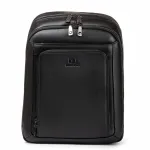Рюкзак Городской кожа BRETTON 1650-16 black
