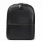 Рюкзак Городской кожа BRETTON 1650-15 black