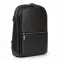 Рюкзак Городской кожа BRETTON 1650-15 black