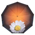 Сумка Женская Текстиль полиамид Jielshi 3748 d.grey