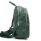 Сумка Женская Рюкзак кожа ALEX RAI 95518-9 green