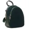 Сумка Женская Рюкзак замш ALEX RAI 2058 green