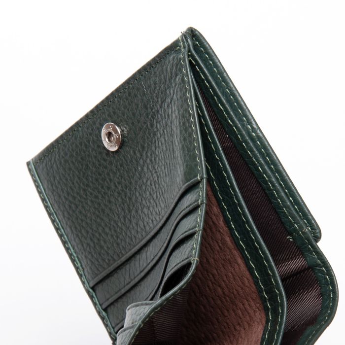 Кошелек Bright Женский кожа DR. BOND WS-219 green