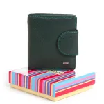 Кошелек Rainbow Женский кожа DR. BOND WRS-415-1 green