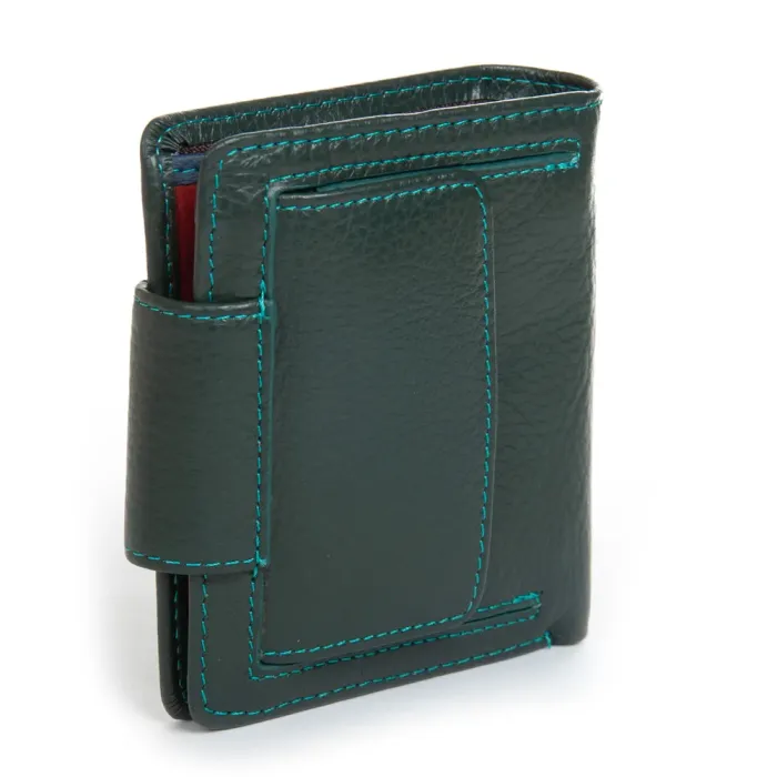 Кошелек Rainbow Женский кожа DR. BOND WRS-415-1 green