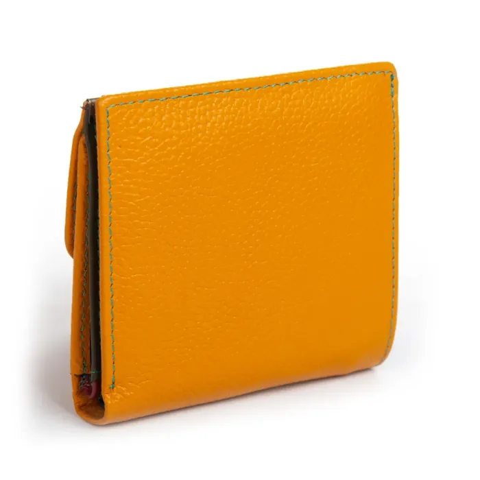 Кошелек Rainbow Женский кожа DR. BOND WRS-33-1 yellow