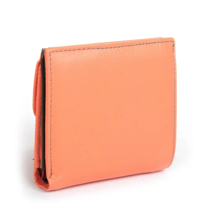 Кошелек Rainbow Женский кожа DR. BOND WRS-33-1 pink