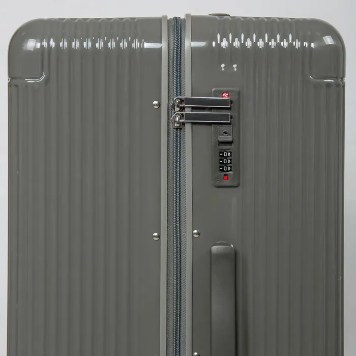 Дорожная Чемодан 31 ABS-пластик DTbag 2050 quartz gray