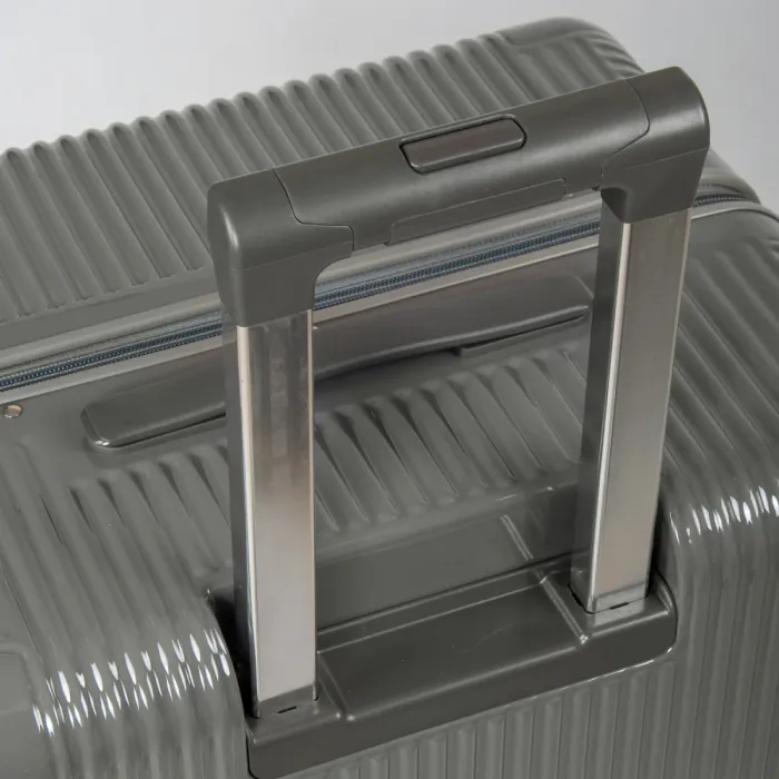 Дорожная Чемодан 31 ABS-пластик DTbag 2050 quartz gray
