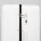 Дорожная Чемодан 31 ABS-пластик DTbag 2050 white
