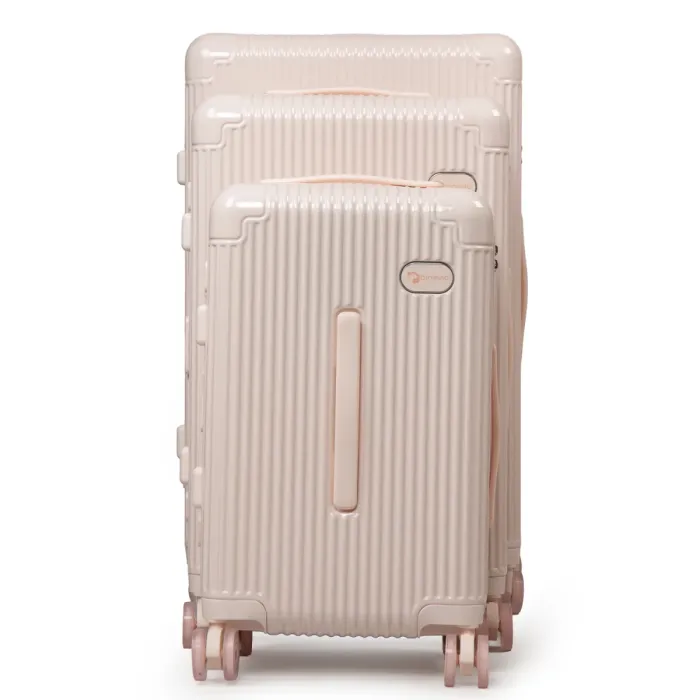 Дорожная Чемодан 31 ABS-пластик DTbag 2050 pink
