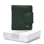 Кошелек Bright Женский кожа DR. BOND WS-415-1 green