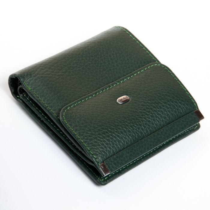 Кошелек Bright Женский кожа DR. BOND WS-33 green