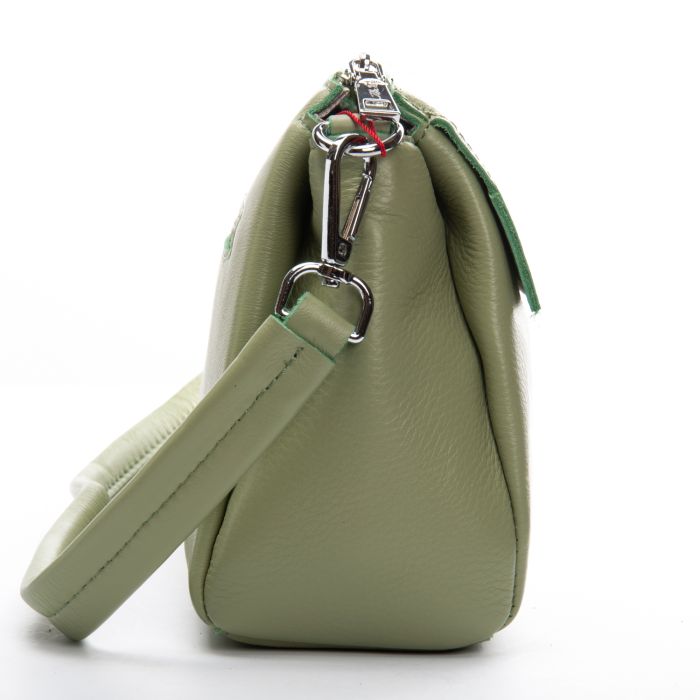 Сумка Женская Классическая кожа ALEX RAI 8721-9 green