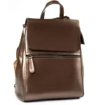 Сумка жіноча Класична шкіра Luxeva P93 8699-3 silver-coffee