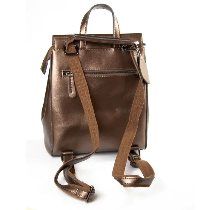 Сумка Женская Классическая кожа Luxeva P93 8699-3 silver-coffee