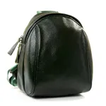 Сумка Жіноча Класична шкіра Luxeva P112 8637-9 green