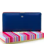 Жіночий гаманець Rainbow шкіряний Dr.Bond WRN-22 blue