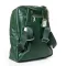 Сумка Женская Классическая кожа Luxeva P21 8904-9 green