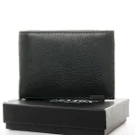 Гаманець BE Чоловічий BRETTON 168-24C black