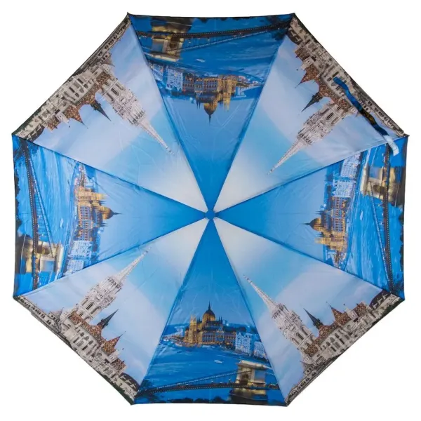 Парасоля Автомат Жіночий понж SL SL21307-5