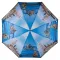 Парасоля Автомат Жіночий понж SL SL21307-5