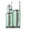 Дорожня Валіза 2/1 ABS-пластик FASHION PP1-PLUS-1 green