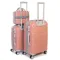 Дорожная Чемодан 2/1 ABS-пластик FASHION PP1-PLUS-1 rose-gold