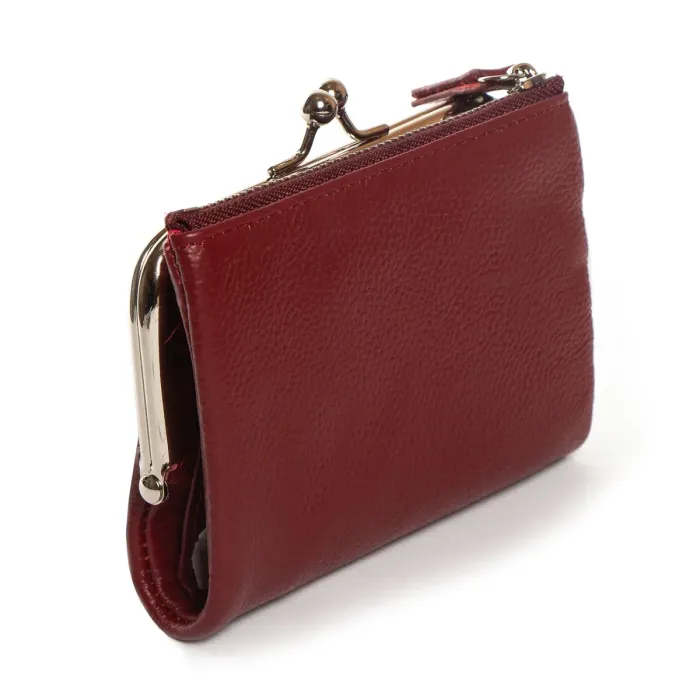 Гаманець Classic Жіноча шкіра DR. BOND WN-23-13 wine-red