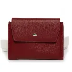 Гаманець Classic Жіноча шкіра DR. BOND WN-23-12 wine-red