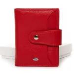 Гаманець Classic Жіноча шкіра DR. BOND WN-23-15 red